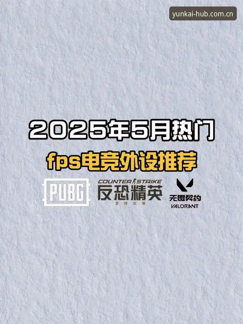 云开app安卓版下载最新版 云开平台2025新版深度评测:实时赔率、电竞数据与注册流程全面解析
